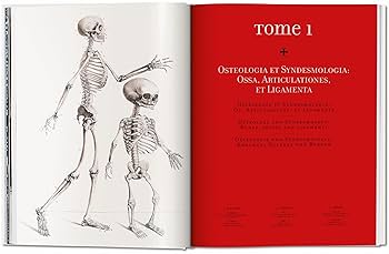 Bourgery. Atlas of Human Anatomy and Surgery (Multilingual